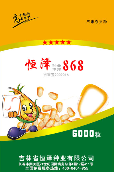恒澤華邦868 恒澤華邦868
